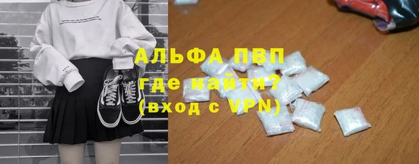 ПСИЛОЦИБИНОВЫЕ ГРИБЫ Ельня