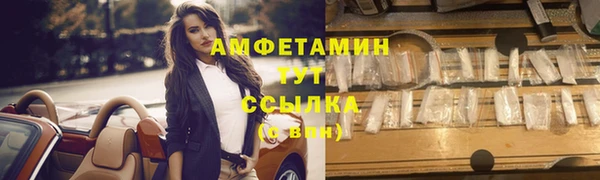 ПСИЛОЦИБИНОВЫЕ ГРИБЫ Ельня