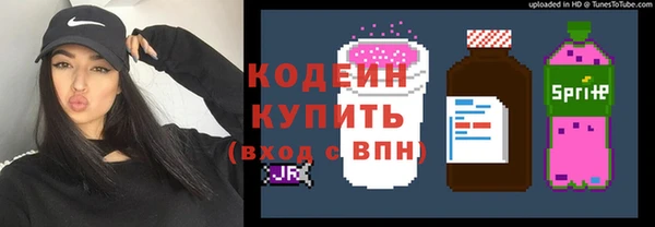 прущий лед Елизово