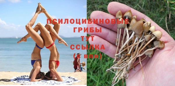 скорость mdpv Елабуга