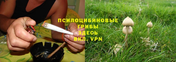 скорость mdpv Елабуга